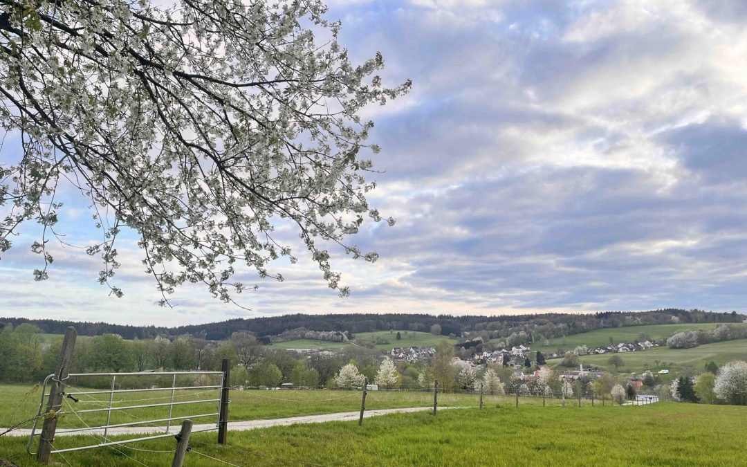 Die Schönheit im Moment