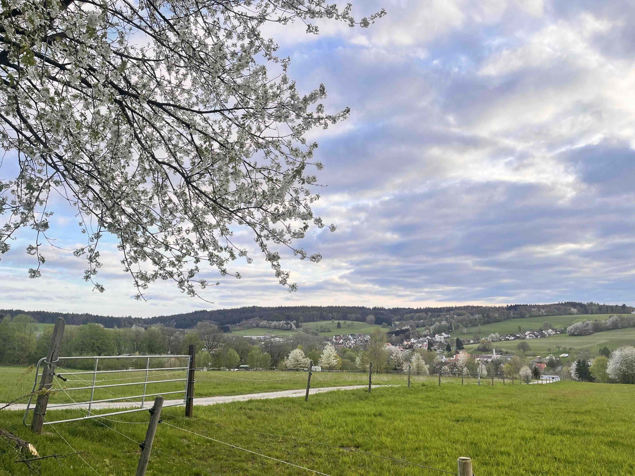 88262F3E-FD41-40B6-9868-F2FBC0EA5864