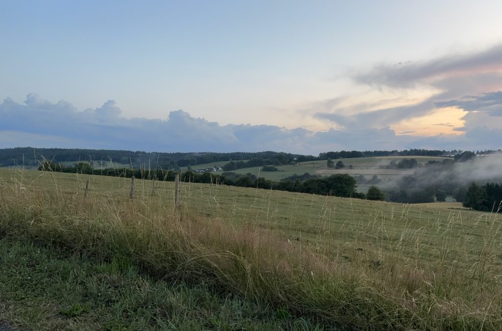 Yoga Herbst-Retreat 2026 Barbara Nagel